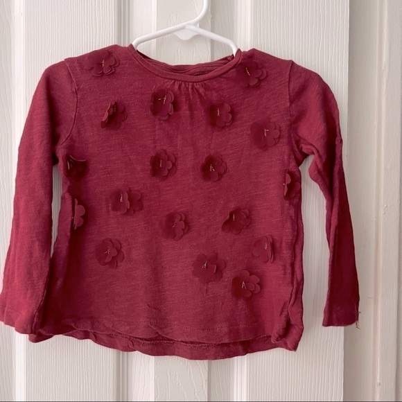 Zara Other - 𝅺ZARA|BABY Girl long sleeve shirt/blouse-Size 2-3 years